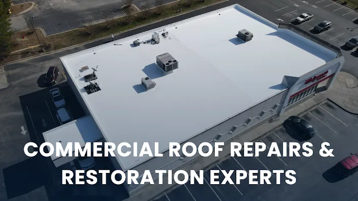 Tarpon Solutions Picture 1