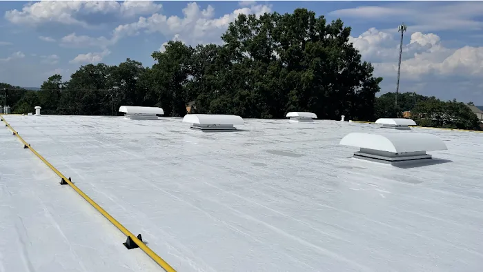 Tarpon Solutions Picture 2