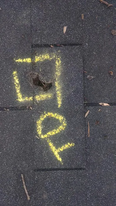 Noble Roofing and Restoration Picture 4