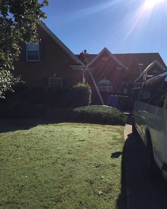 That RoofLyfe T.R.L. Roofing Picture 6