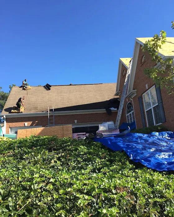 That RoofLyfe T.R.L. Roofing Picture 8