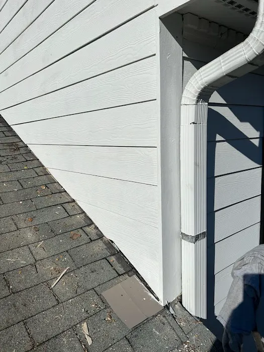 Wow! What A Roof! Picture 8