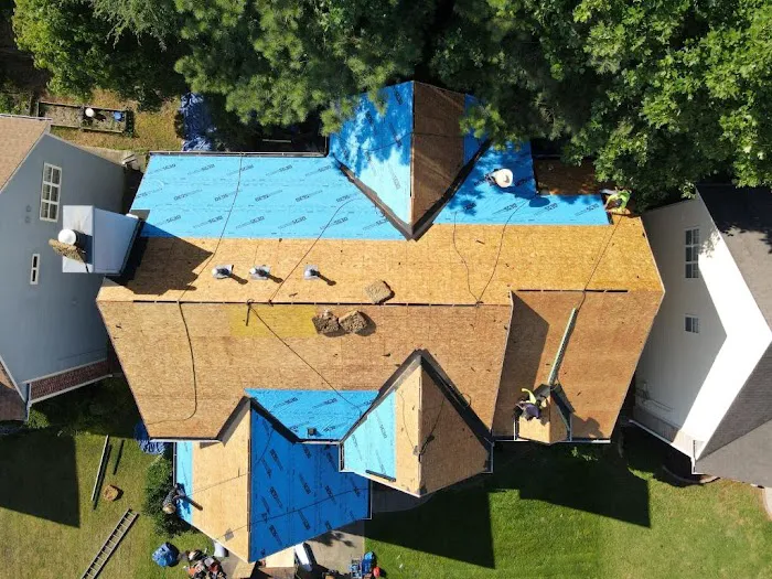 Wow! What A Roof! Picture 3