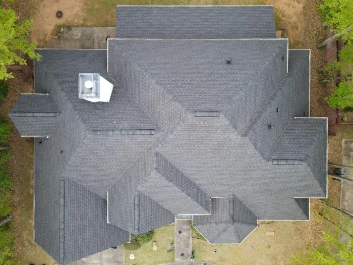 Wow! What A Roof! Picture 5