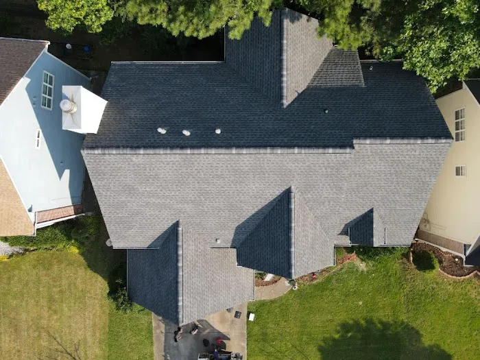 Wow! What A Roof! Picture 2