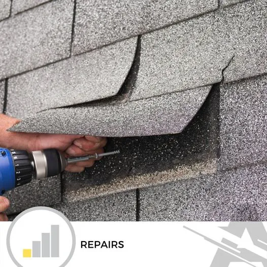 Wellington Roofing Solutions Picture 4