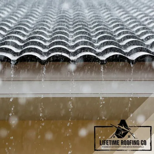 Wellington Roofing Solutions Picture 3