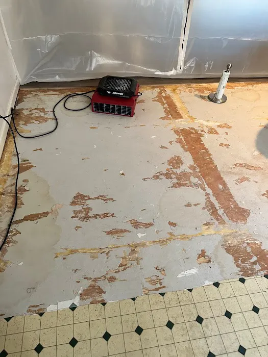 Tyber Group Picture 9