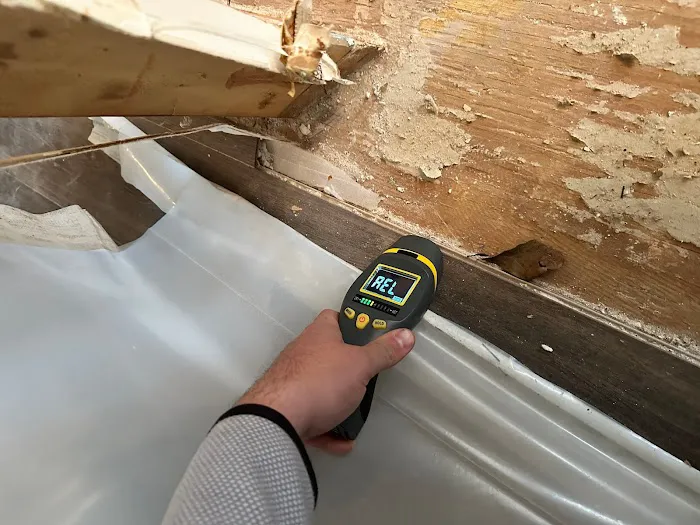 Tyber Group Picture 2