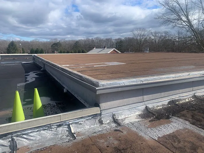 Tyber Group Picture 1