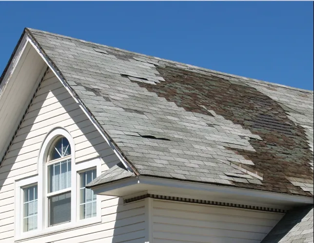 Refuge Roofing Picture 10