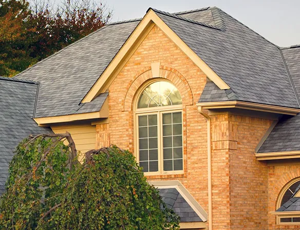 Edge 2 Edge Picture 5