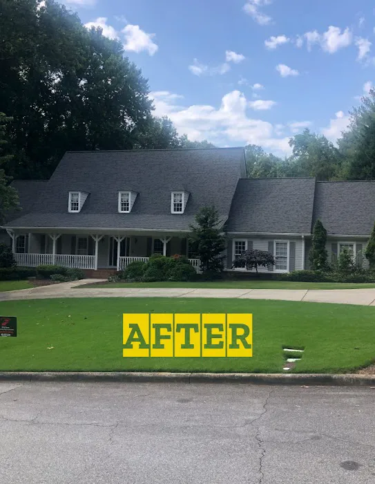 The Roof Butler Picture 3