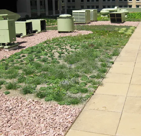 CentiMark Corporation Picture 8