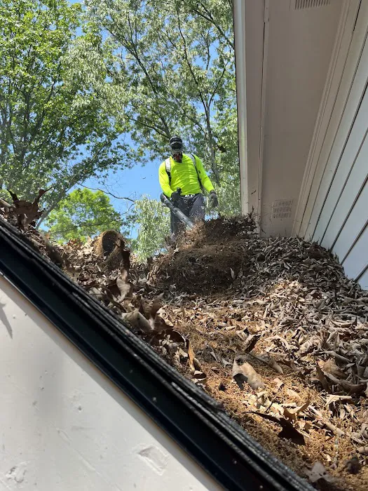 Green Grove Solutions LLC Picture 7