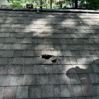 Roof Authority Picture 1
