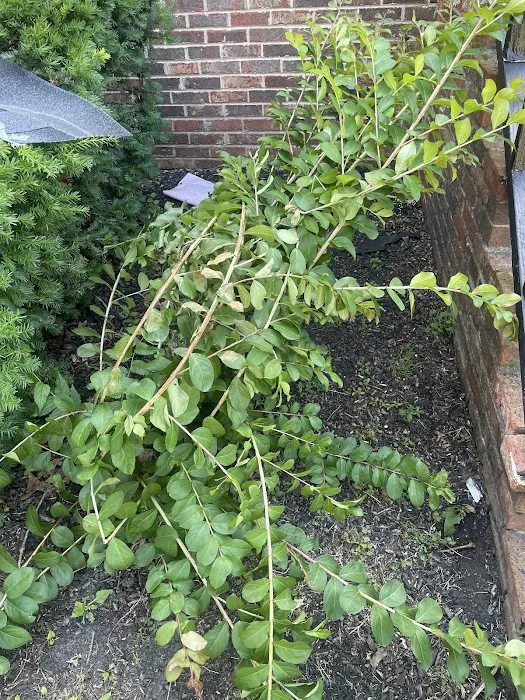 Northpoint Roofing Systems Picture 10