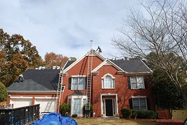 Roof Authority Picture 1