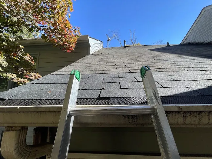 Mr. Roofer Picture 5