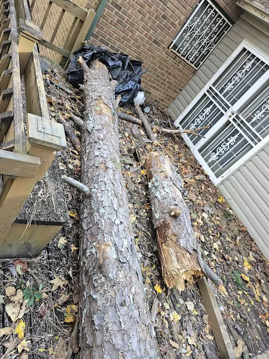 Halo Contracting Picture 6