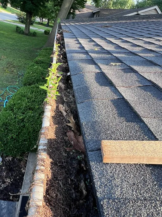 The Roof Factory Picture 5