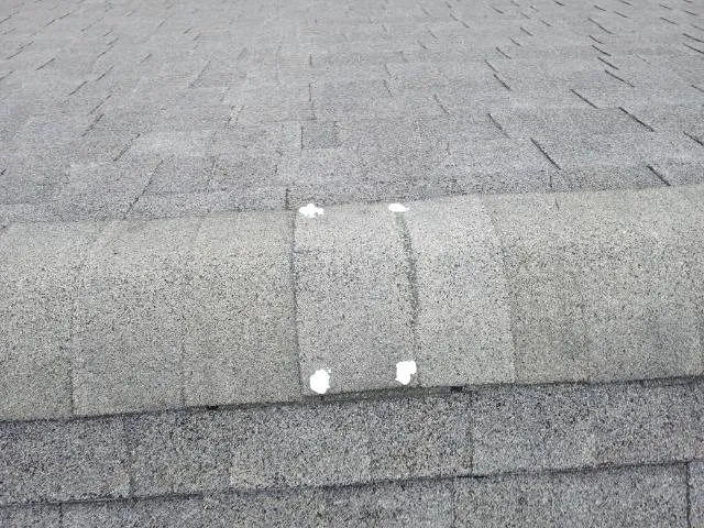 Georgia Roof + Exteriors Picture 7