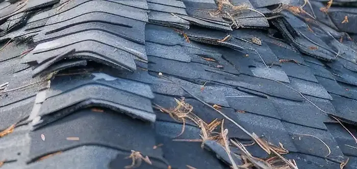 Certified Quality Roofing Picture 7