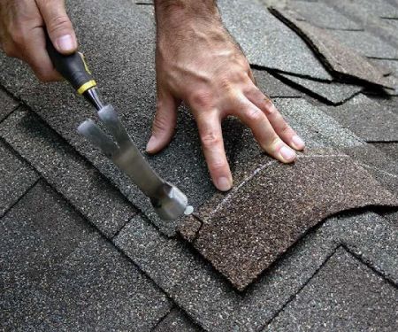 Blas Roofing