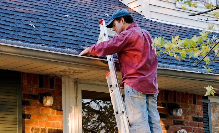 Blas Roofing Picture 4