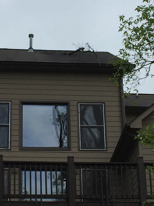 Frank's Roofing Solutions Picture 5