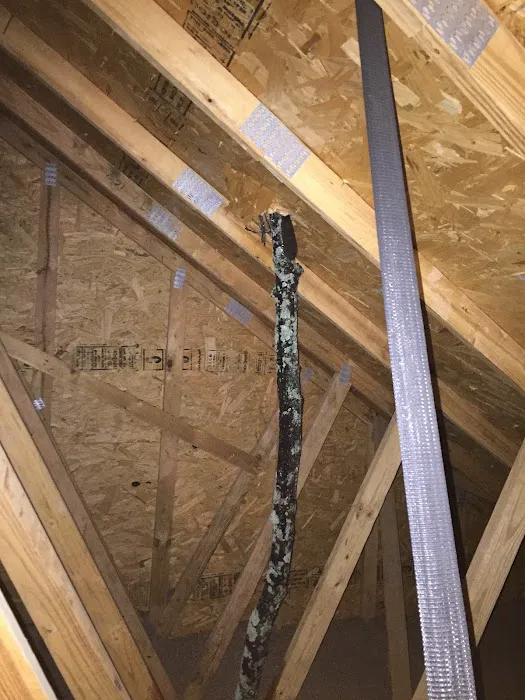 Frank's Roofing Solutions Picture 3