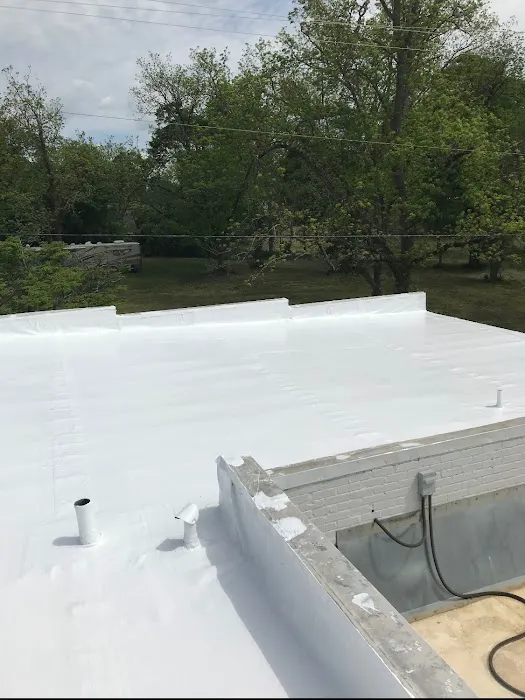 Revive Exteriors Picture 4