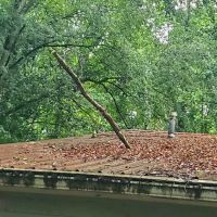 Right-Hand Roofing & Gutters ico