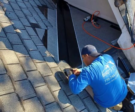 Bird's Eye Roofing Company