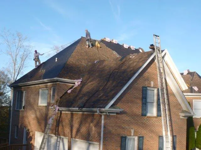 The Roof Clinic Picture 4