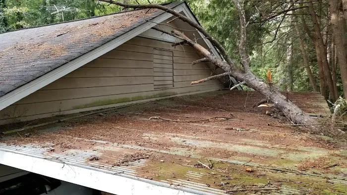 All In One Exteriors Picture 6