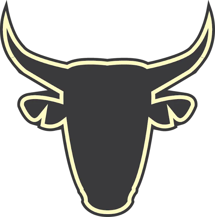 Bull Roofing LLC Picture 7