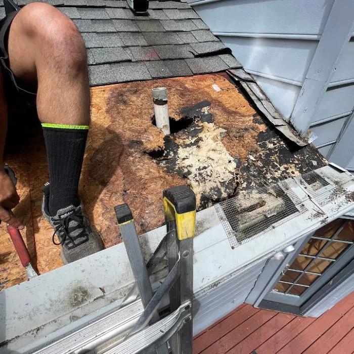 The Original Roof Repair Company Picture 8