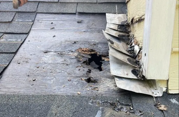 The Original Roof Repair Company Picture 5