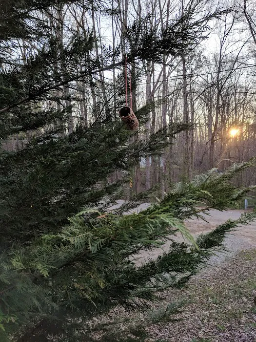 Mayberry Construction & Roofing Picture 5