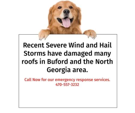Top Dog Roofing