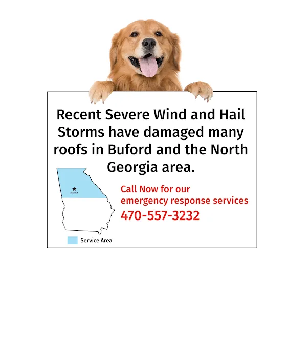 Top Dog Roofing Picture 6