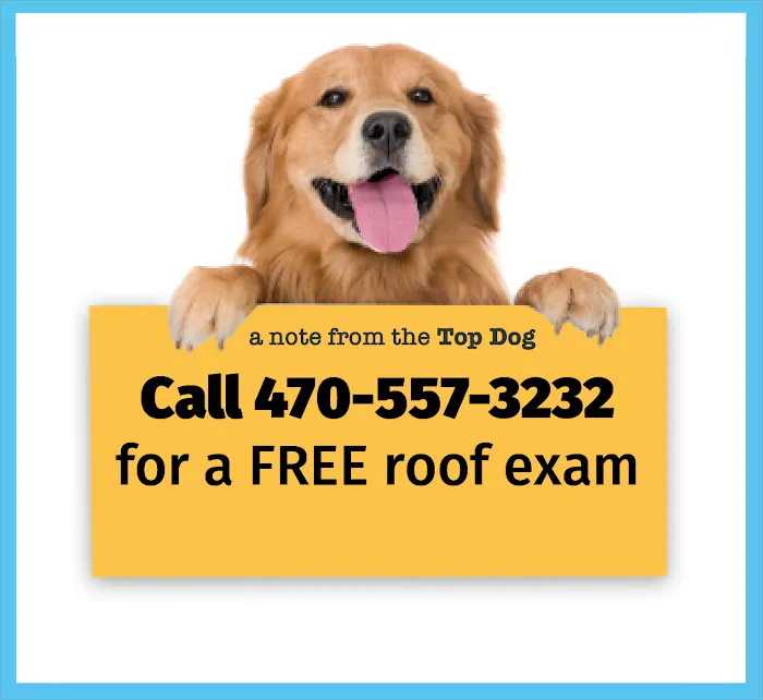 Top Dog Roofing Picture 8