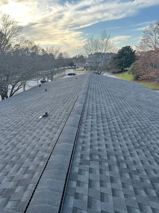 Black Dog Roofing Picture 7