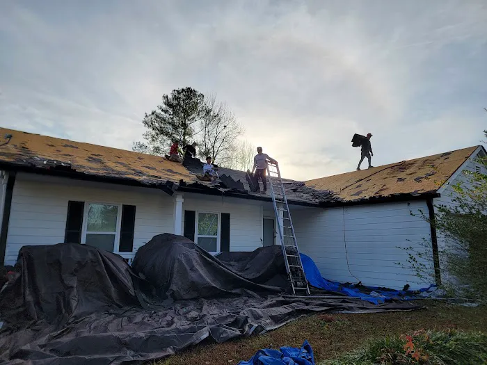 Speedy Turtle Roofing Picture 2