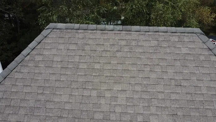 Blue Angels Roofing Picture 4