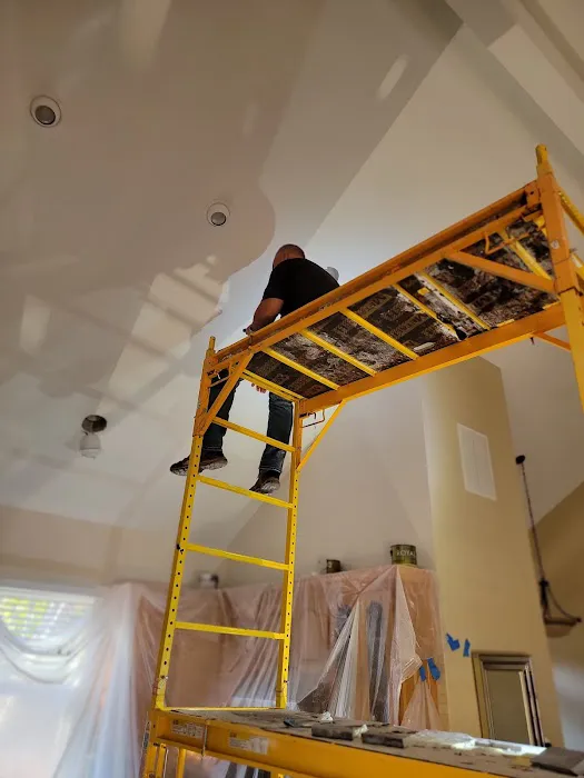 Force Field Roofing LLC Picture 1