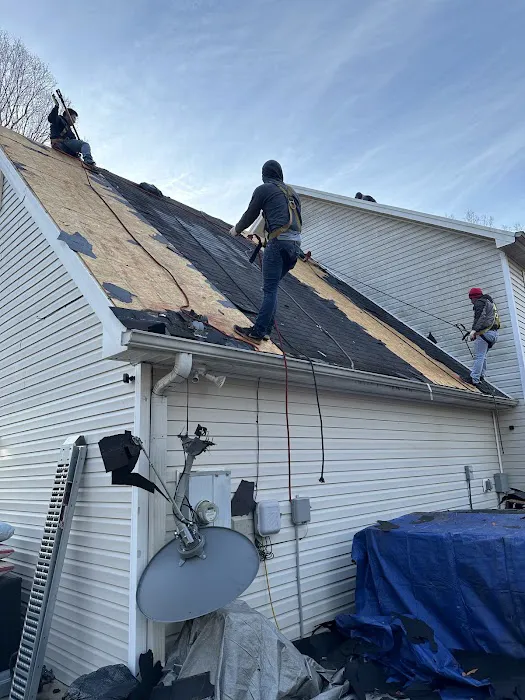 Travis Rylee Roofing Picture 2