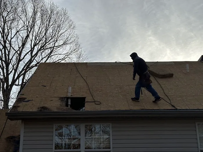 Travis Rylee Roofing Picture 6