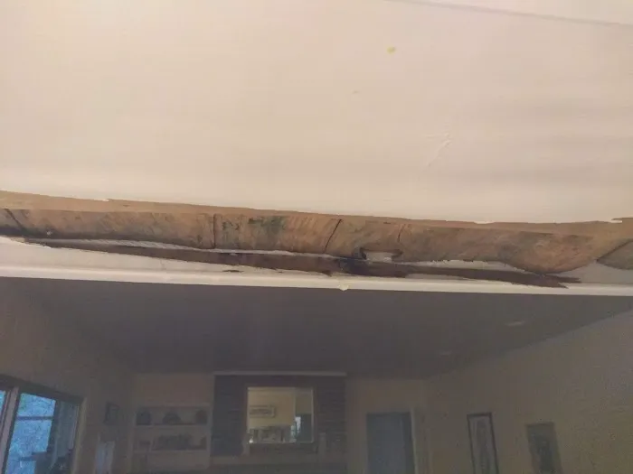 Painting & Roofing By JL Enterprises Picture 1